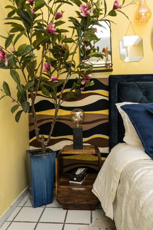 Apartment Noah Manarola